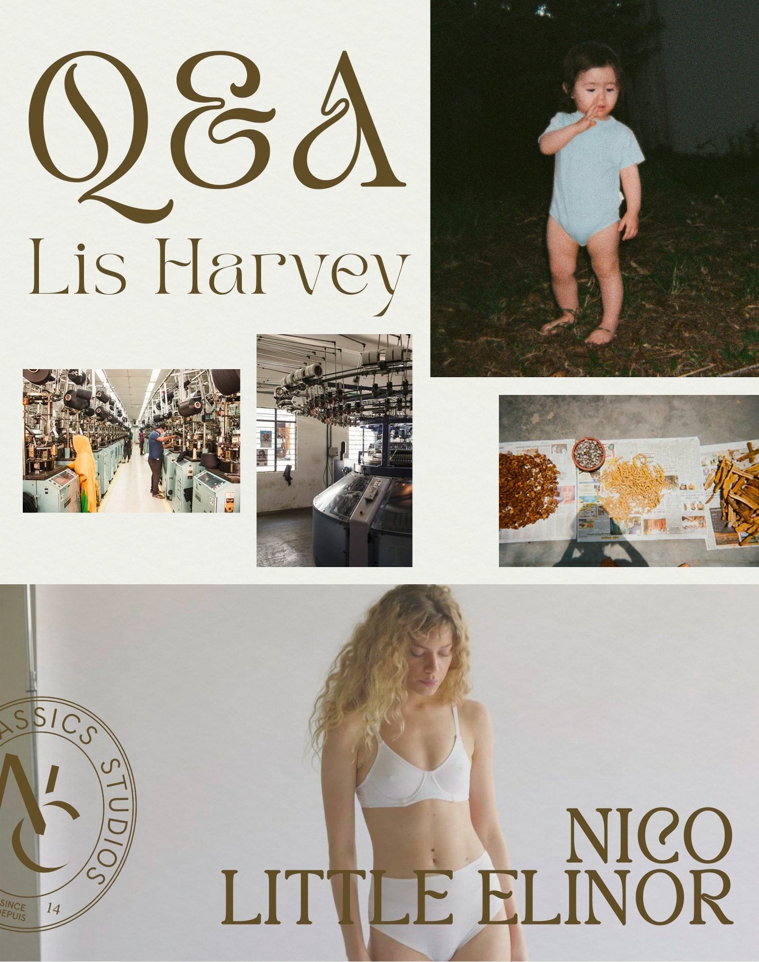 Q&A • Lis Harvey of NICO