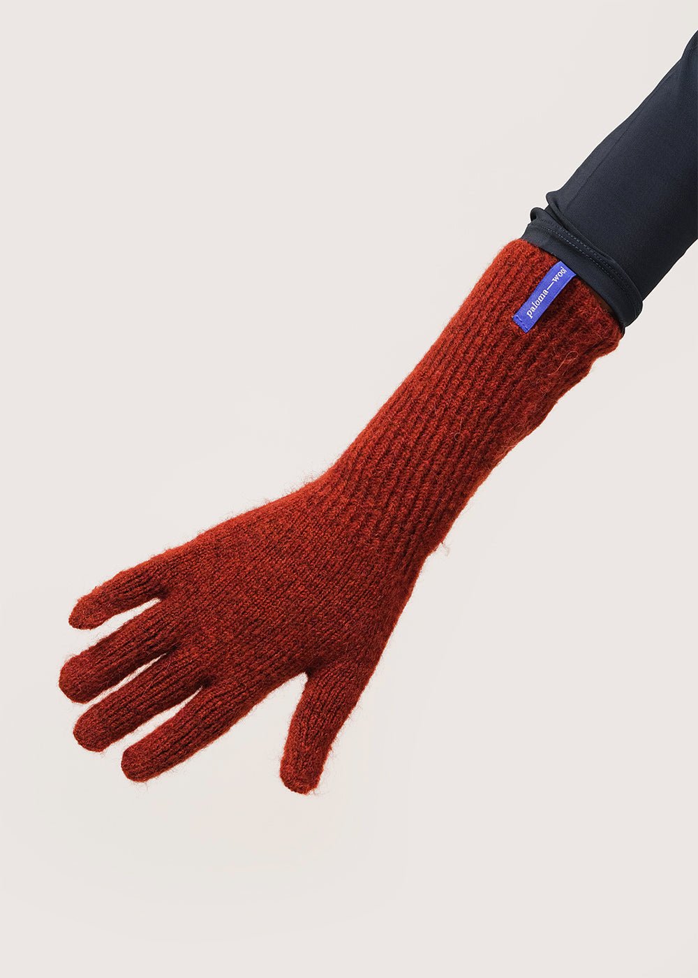Peter Gloves in Wine by PALOMA WOOL